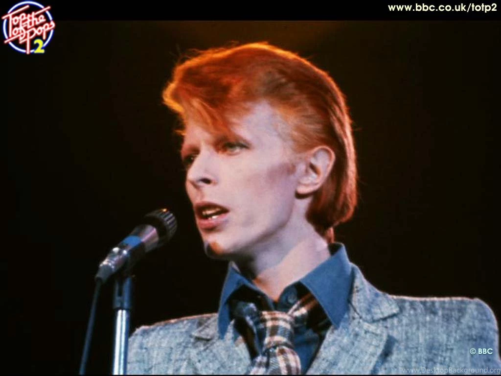 David Bowie   David Bowie Wallpapers (348919)   Fanpop