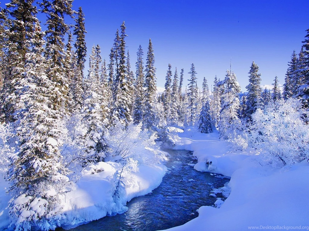 Free Winter Wallpapers Your Top HD Wallpapers
