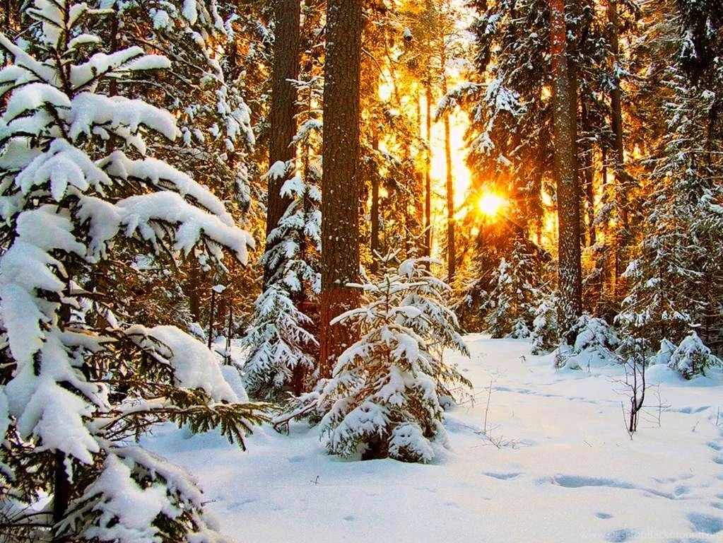 COOL WINTER WALLPAPERS DESKTOP FREE CVB019