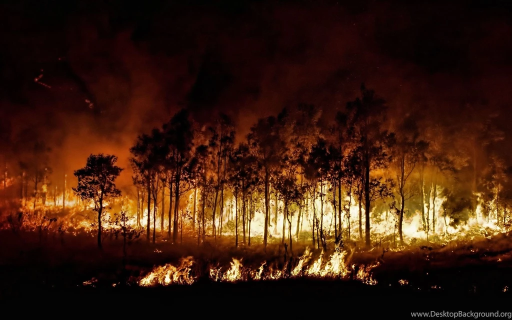Forest Fire Desktop Wallpaper, Forest Fire Images, New Wallpapers