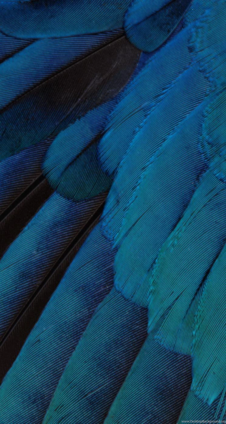 IOS9 Pattern Blue Green Cool