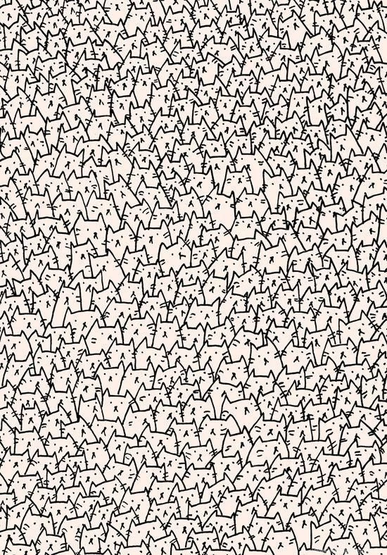 Cute Lil Cat Backgrounds Image