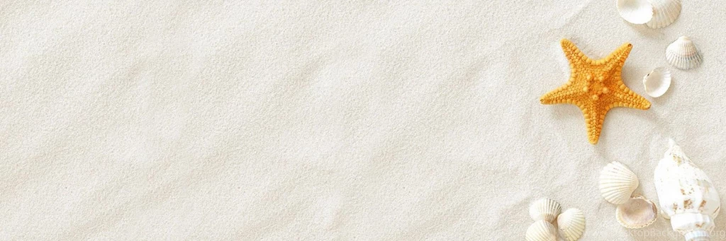 White Sand Starfish Clam Shells Twitter Cover & Twitter Backgrounds ...