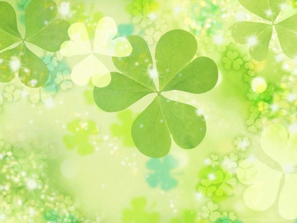 Beautiful Flowers Backgrounds 1024x768 Wallpapers, 1024x768 ...