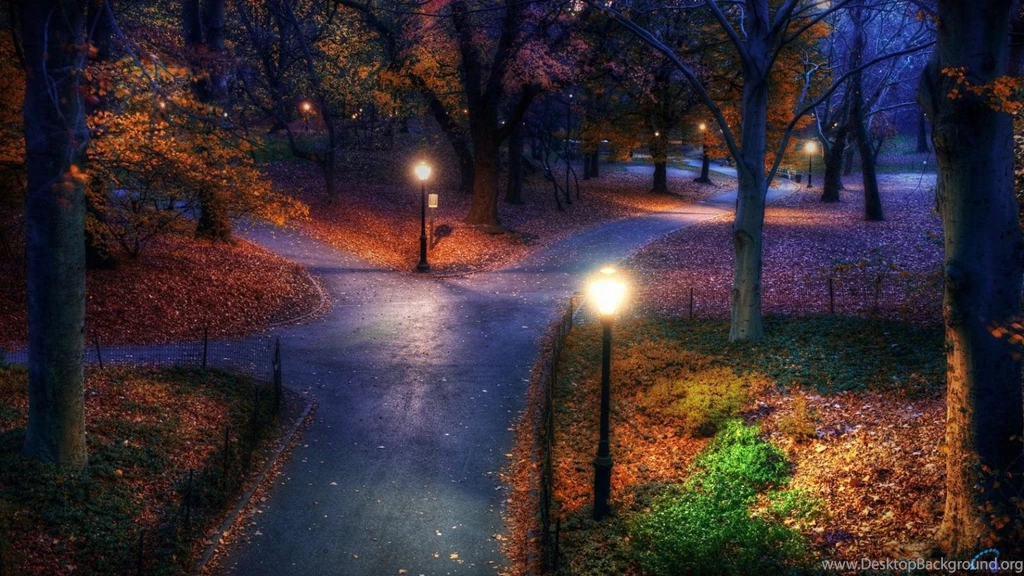 Download Wallpapers Central Park In The Fall, New York (1600 X 900 ...