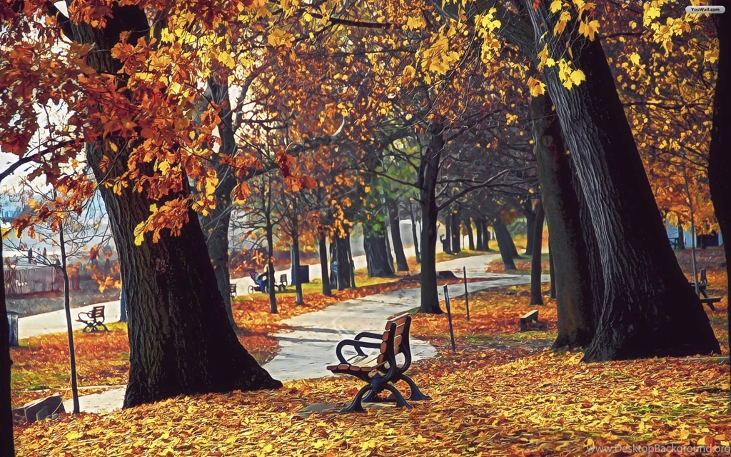 YouWall   Autumn Park Wallpapers   Wallpaper,wallpapers,free ...
