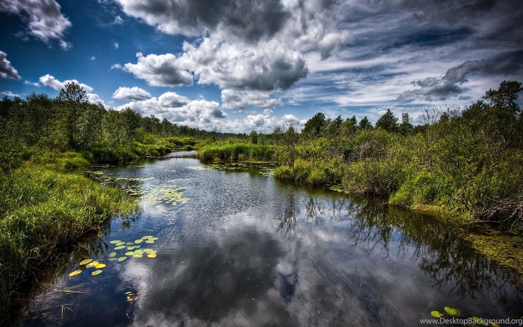 Beautiful Stream Wallpapers