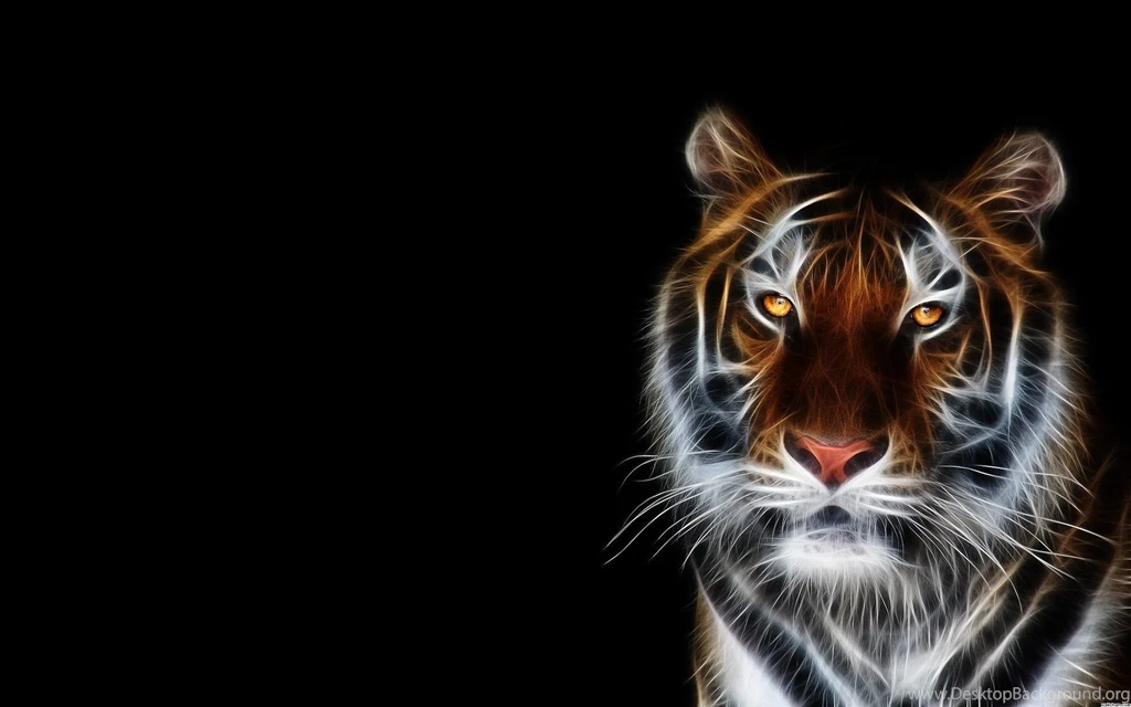 Wallpaper, Beautiful, Abstract, Background, Walls (