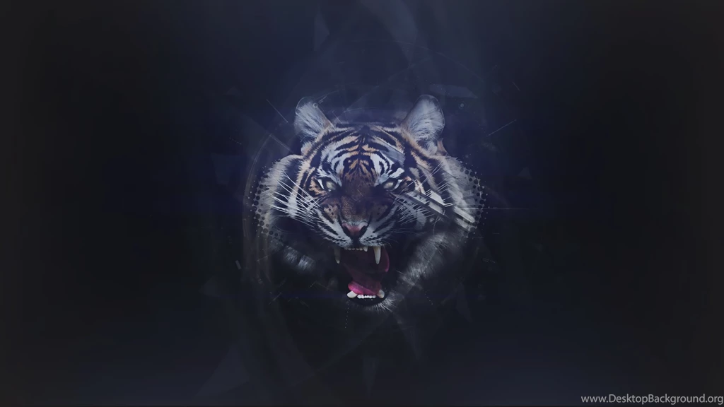Abstract Tiger Wallpapers By ZeraCreations On DeviantArt