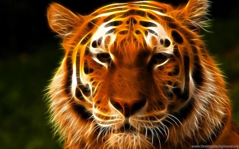 Tiger Face Art Wallpaper,tiger Wallpaper,design Wallpapers