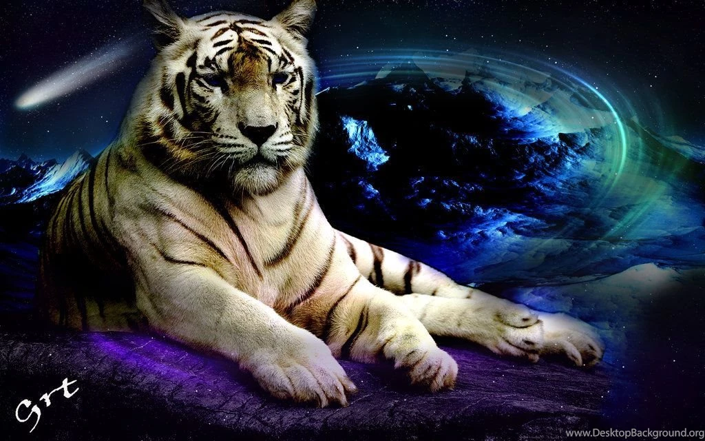 White Tiger Abstract Sapce By Grt By GRT101 On DeviantArt