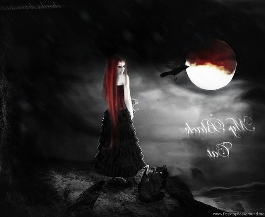 Free Wallpapers, Hd Images, Windows Wallpaper, Tablet Desktop ...