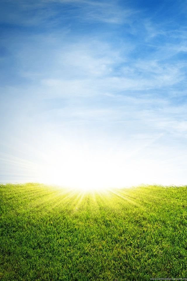 Attractive Grass Sunrise Iphone Wallpapers