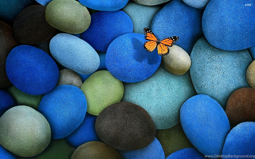 Viceroy Butterfly On Blue Pebbles Wallpapers   Animal Wallpapers ...
