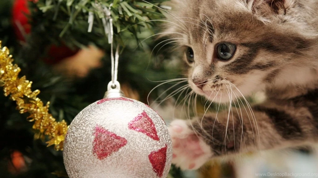 Christmas Wallpapers HD CuteWallpaper.org