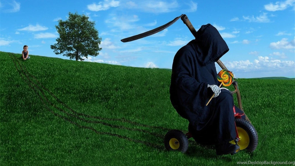 Nice HD Funny Wallpapers