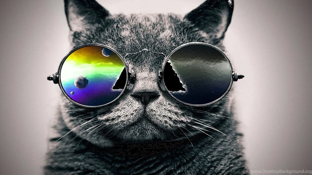 Cool Cat Backgrounds Wallpapers Cave