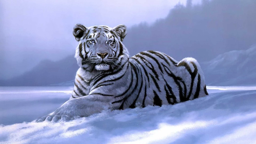 White Tiger Wallpapers Best Collection Of Tiger HD Wallpapers