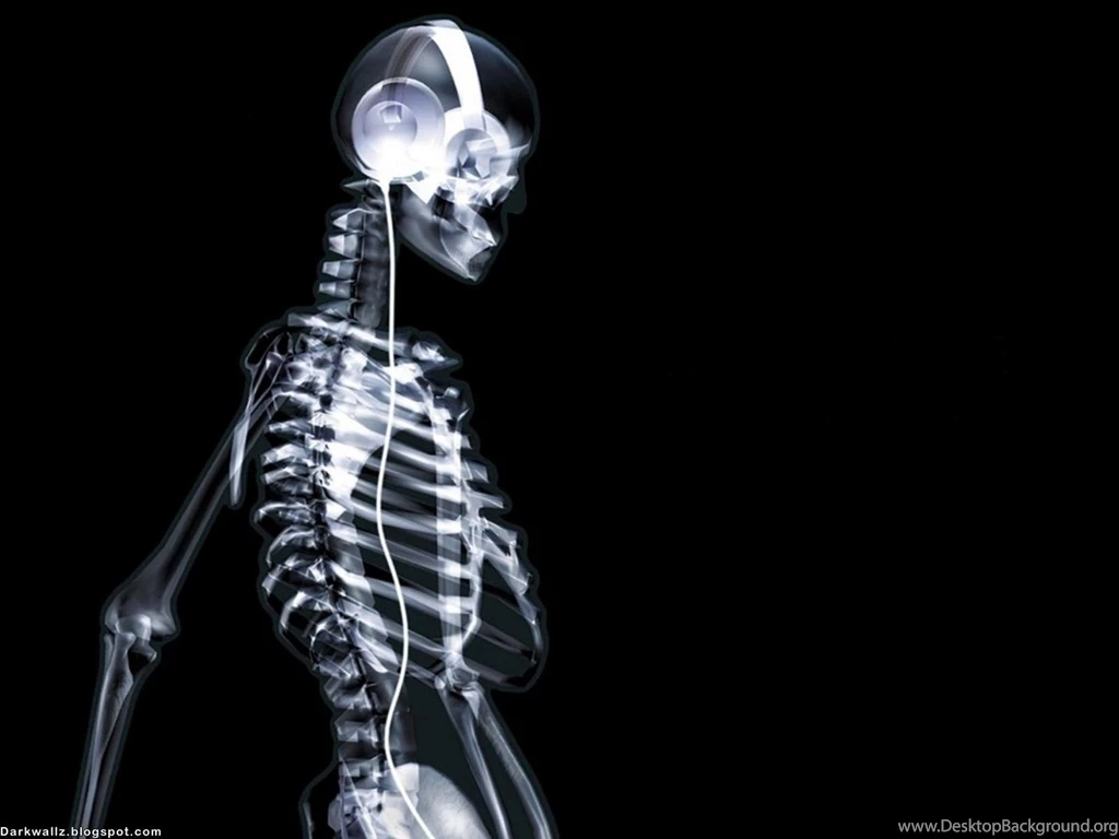 Dark Skulls Wallpapers 90 Dark Skull Wallpapers