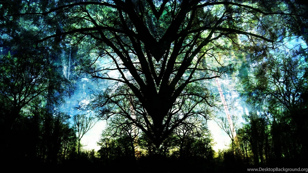 Nature Forest Path Wallpapers Picture