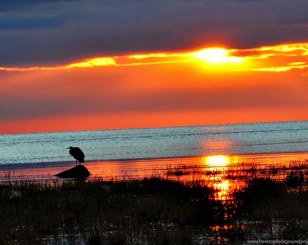 Hd Landscape Images, Nature Backgrounds, View, Amazing Landscape ...