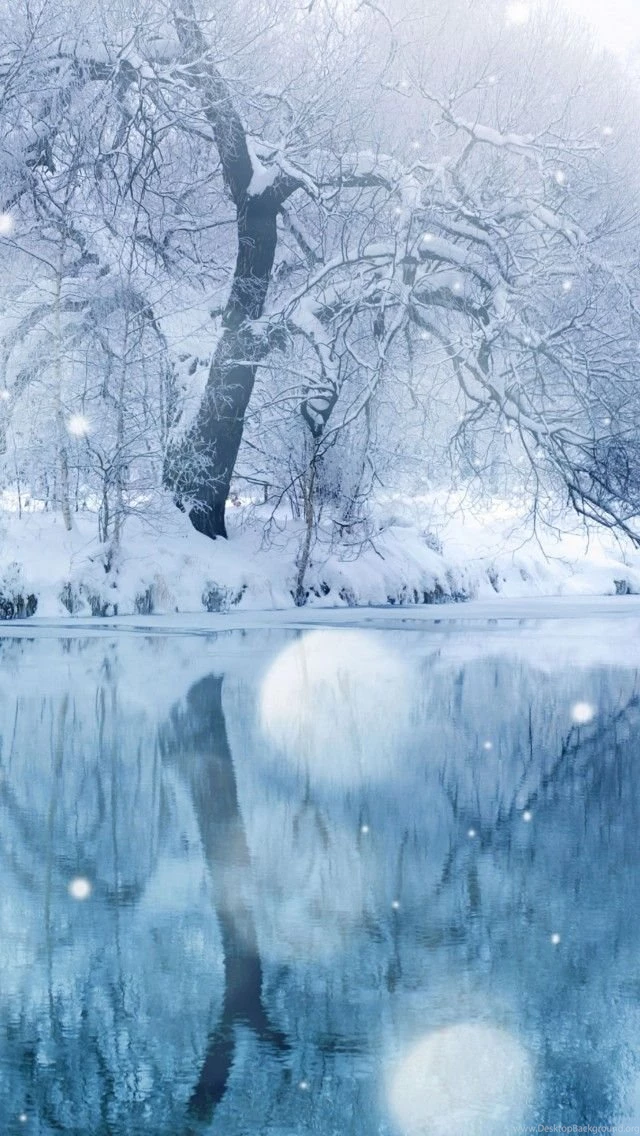Winter Backgrounds Wallpapers
