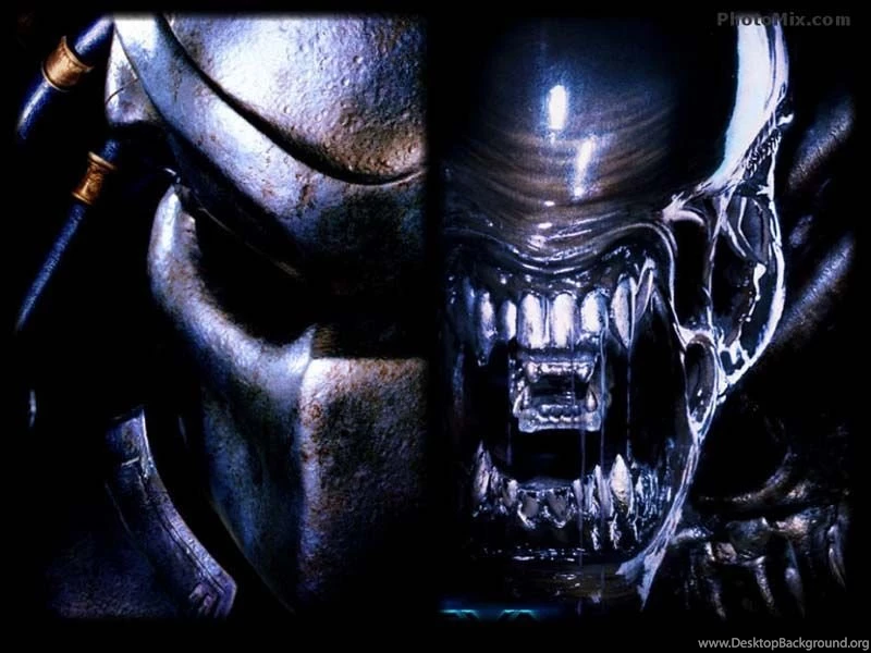 DC Movie Wallpapers » Alien Vs Predator