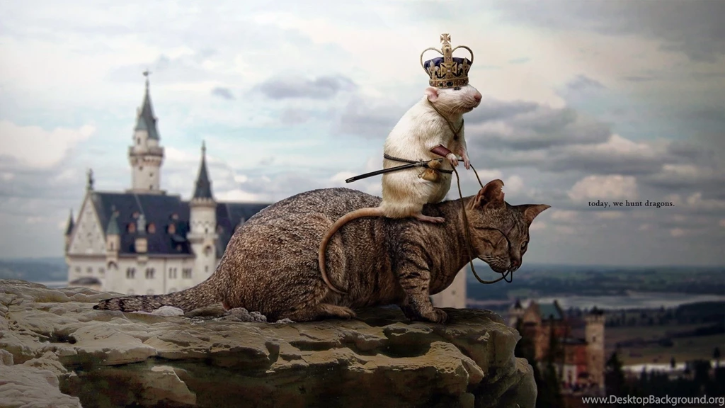 Today, We Hunt Dragons Wallpapers 26339