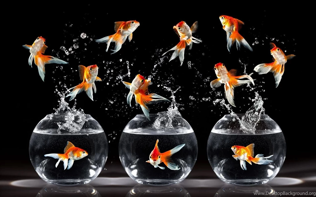 Download Awesome PC Wallpapers 1920x1200 Full HD Wall