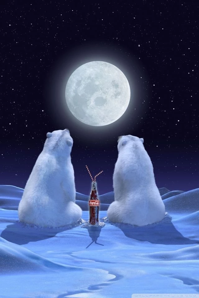 Polar Bears HD Desktop Wallpapers : High Definition : Fullscreen ...