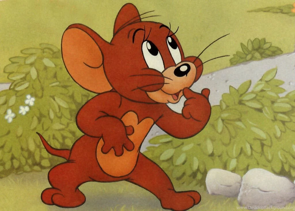 Tom, And, Jerry, Wallpaper, High Resolution, For, Desktop   Wallpapers