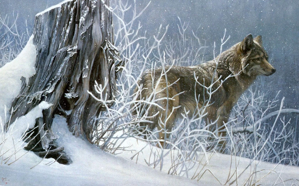 Snowy Wolf Free Desktop Backgrounds Free Wallpapers Image