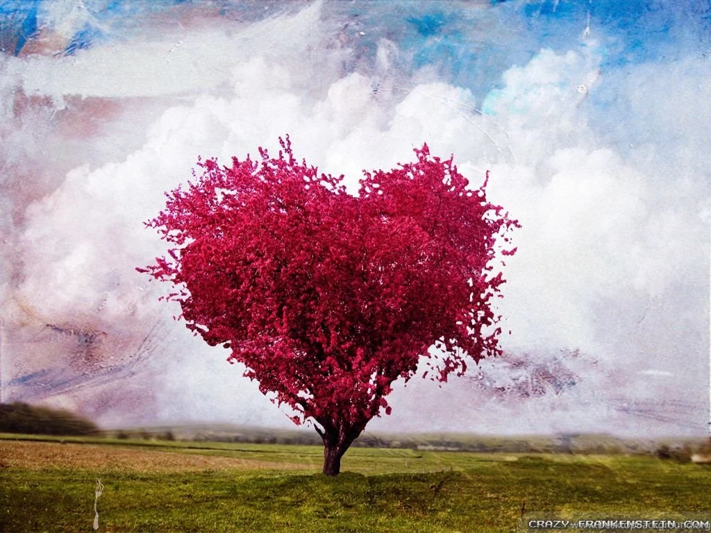 Download The Tree Of Love HD Wallpapers