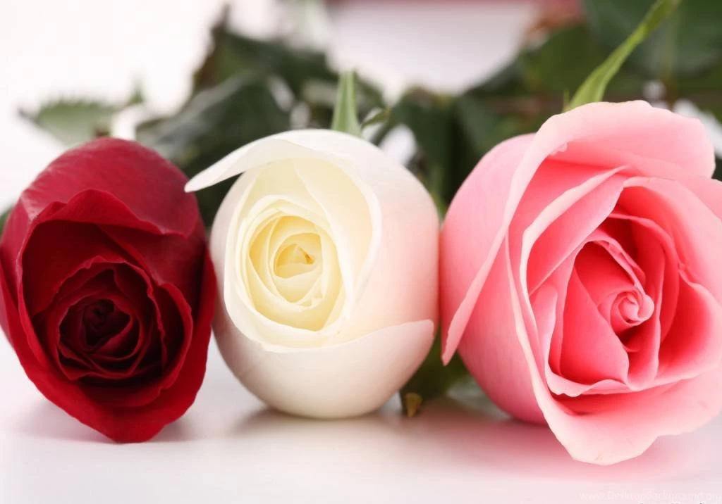 HD Widescreen Wallpapers Archives Page 4 Of 26 Free Desktop ...