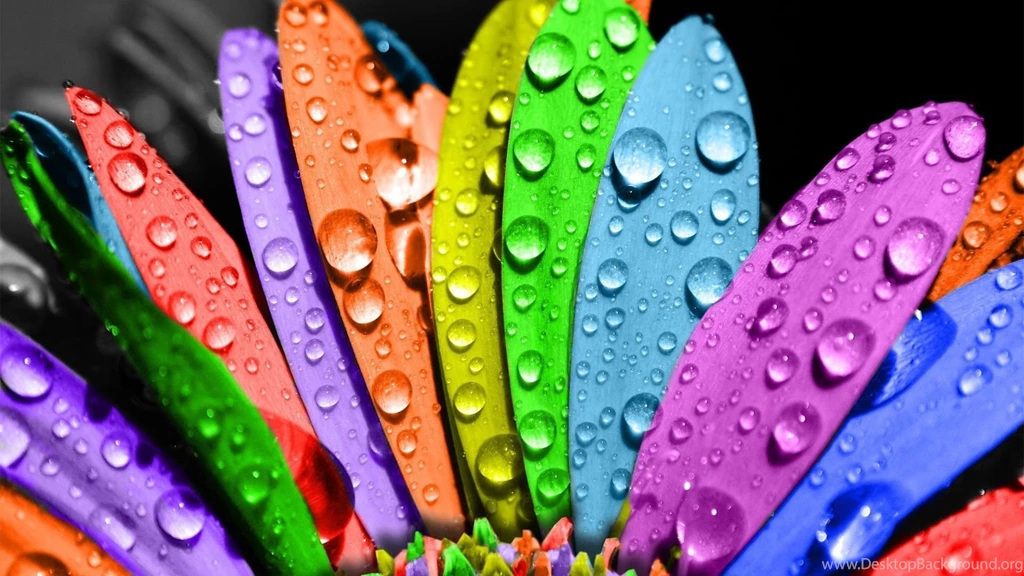 Water Drops On Colorful Flower Petals HD Desktop Mobile Wallpapers ...