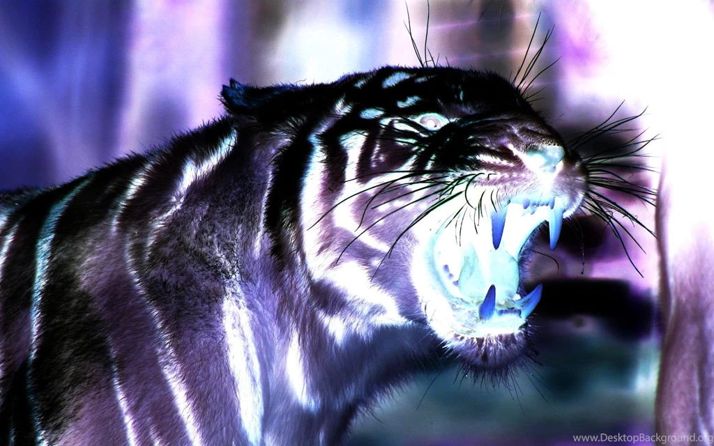 High Definition Tiger Wallpapers For Free Download