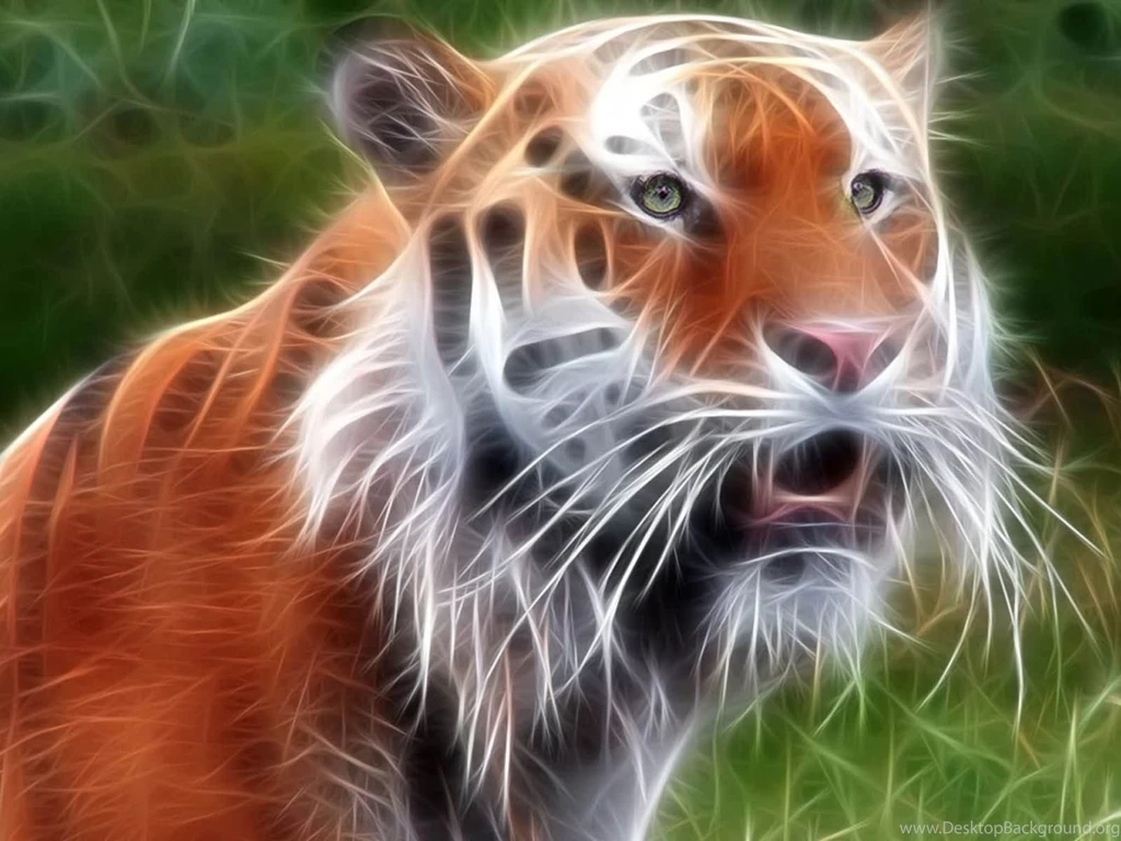 Tiger Wallpaper 3d Jpg Desktop Background