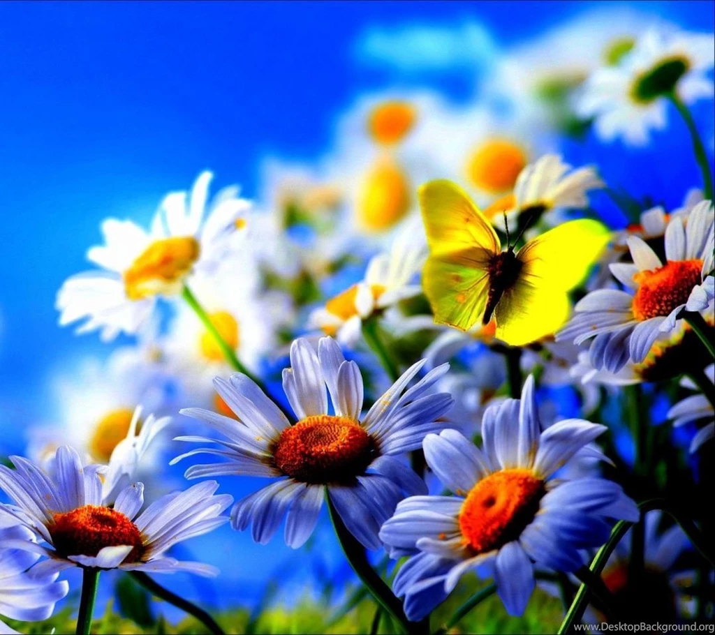 Phone Ads Celebs Samsung Mobile Phone Celebrity Models Wallpapers ...