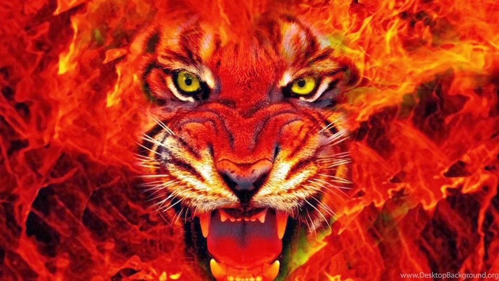 Fire Wallpapers Desktop
