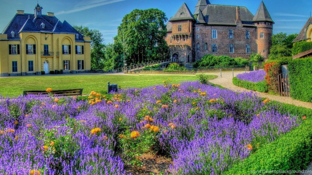 Download Wallpapers 1920x1080 Grass, Sky, Trees, Buildings, Hdr ...