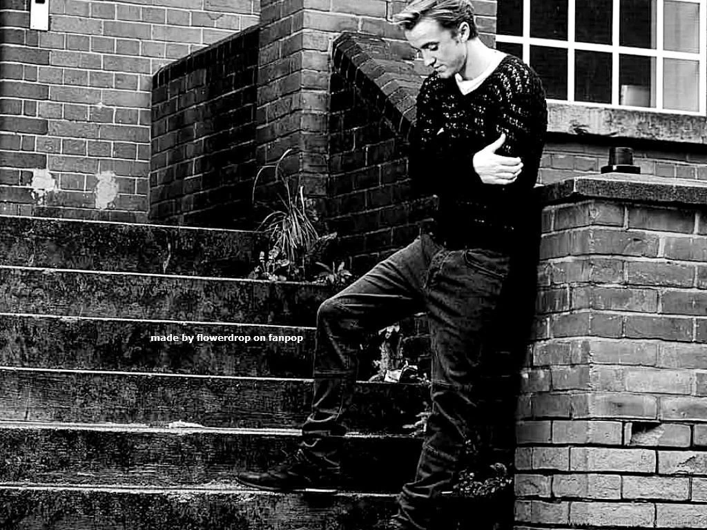 Tom Felton Wallpapers   Tom Felton Wallpapers (31399426)   Fanpop