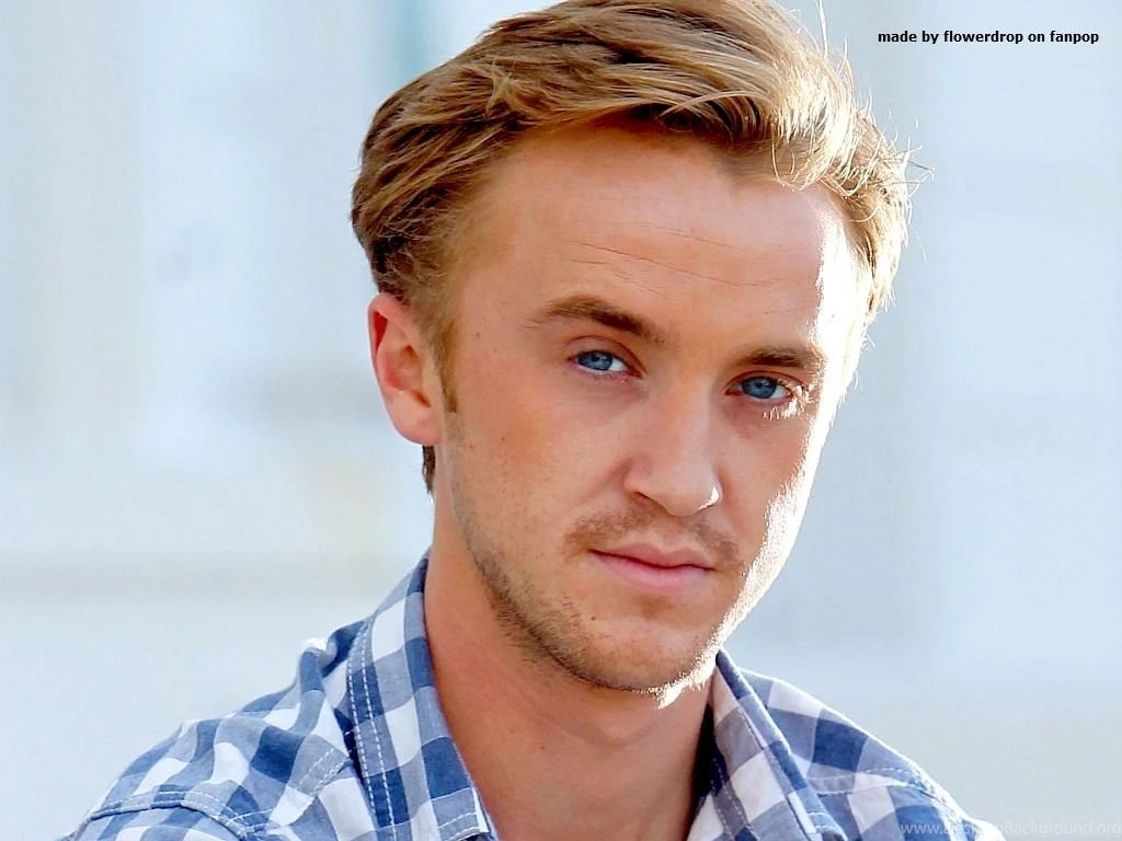Tom Felton Wallpapers   Tom Felton Wallpapers (31399508)   Fanpop