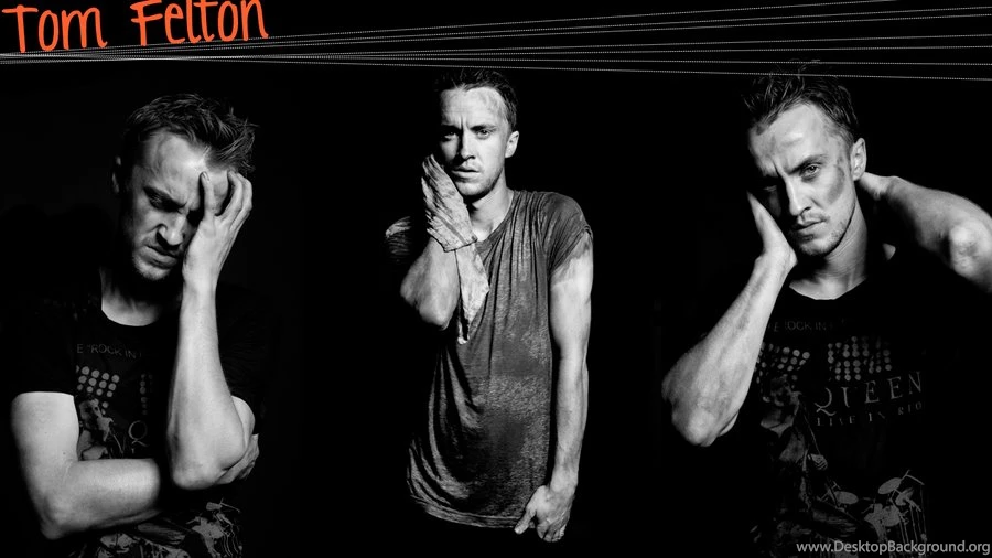 Tom Felton Wallpapers By Installyourhead On DeviantArt