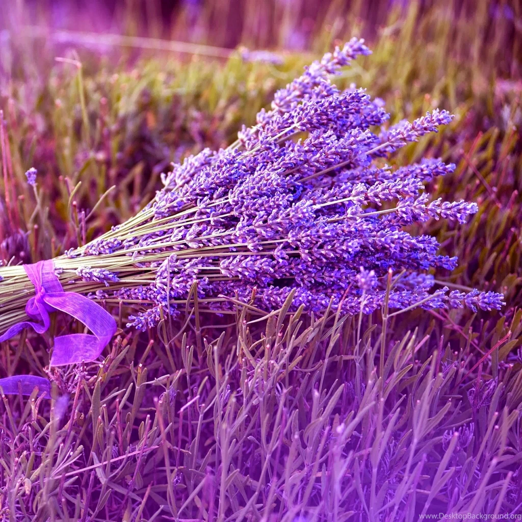 Download iPad Air Wallpapers 4820 2048x2048 Px High Resolution ...