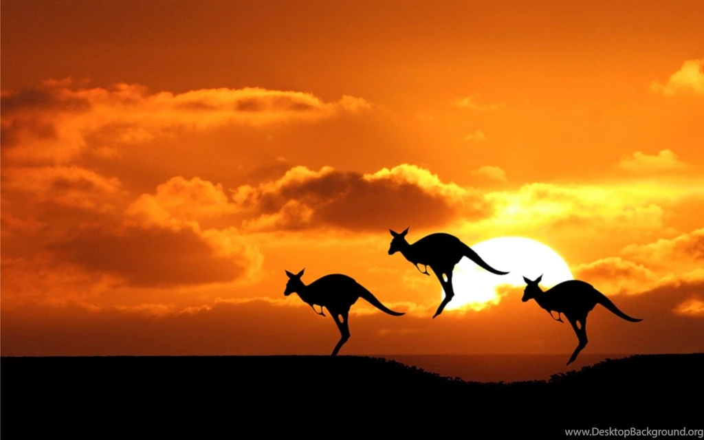 Australia Beaches Wallpapers Wallpaper.