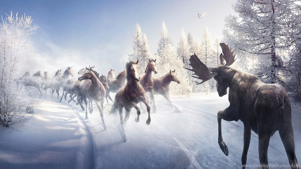 1920x1080 Horses, Christmas Tree, Snow, Winter, Road, Bird, Elk ...