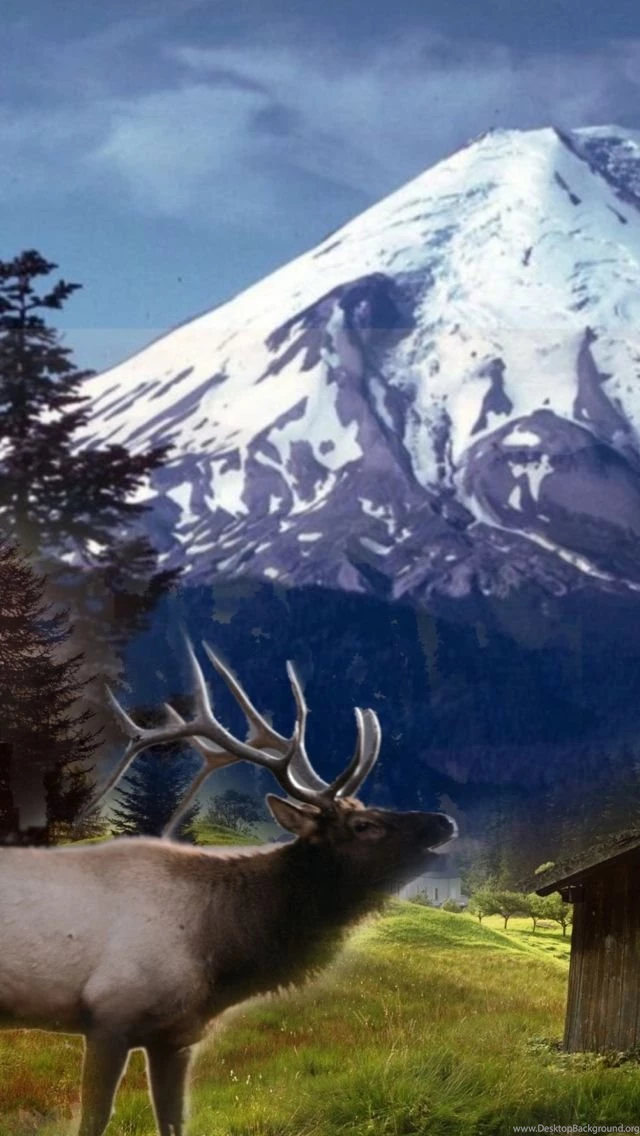 Big Elk 640x1136.jpg