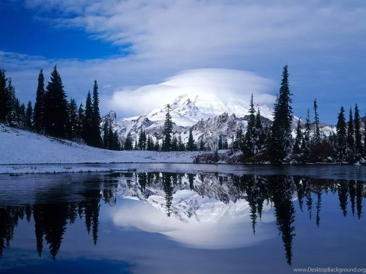 Snowy Images