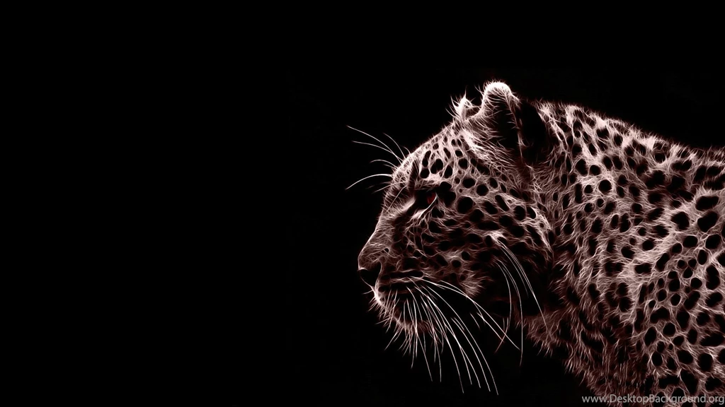 Animals Jaguars Photomanipulations Black Backgrounds Red Never Saw ...