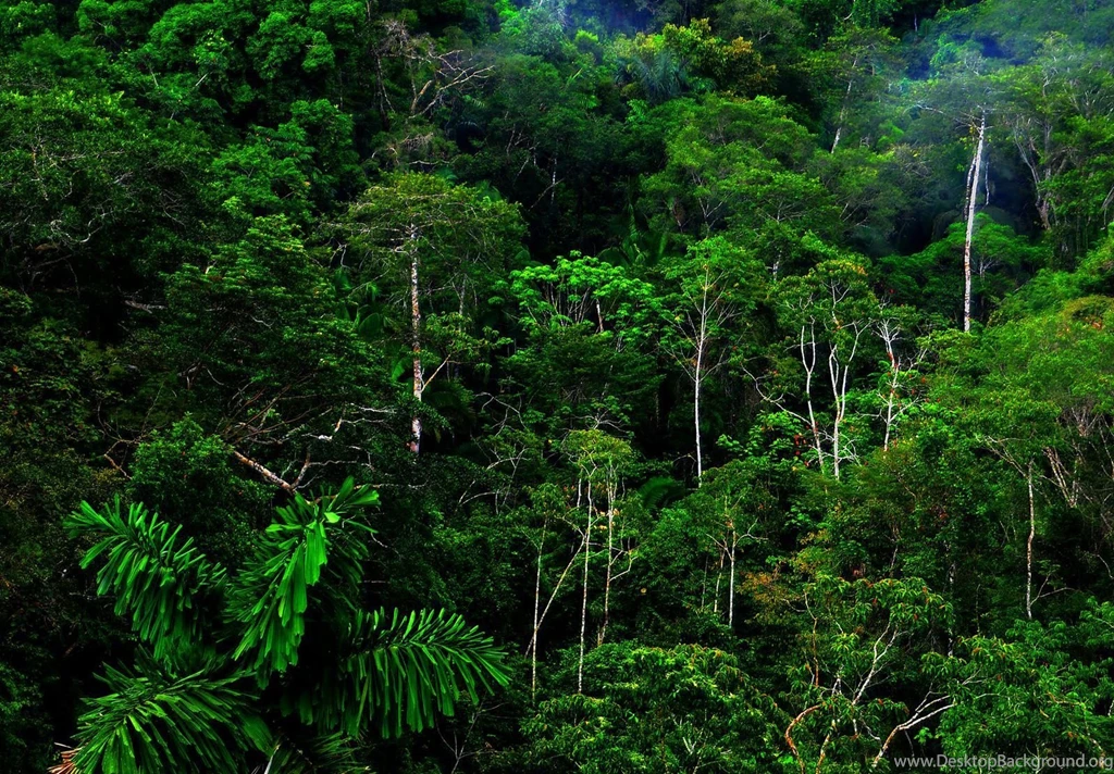 Hd Nature Images, Organic, Fresh Air, Widescreen Wallpapers ...
